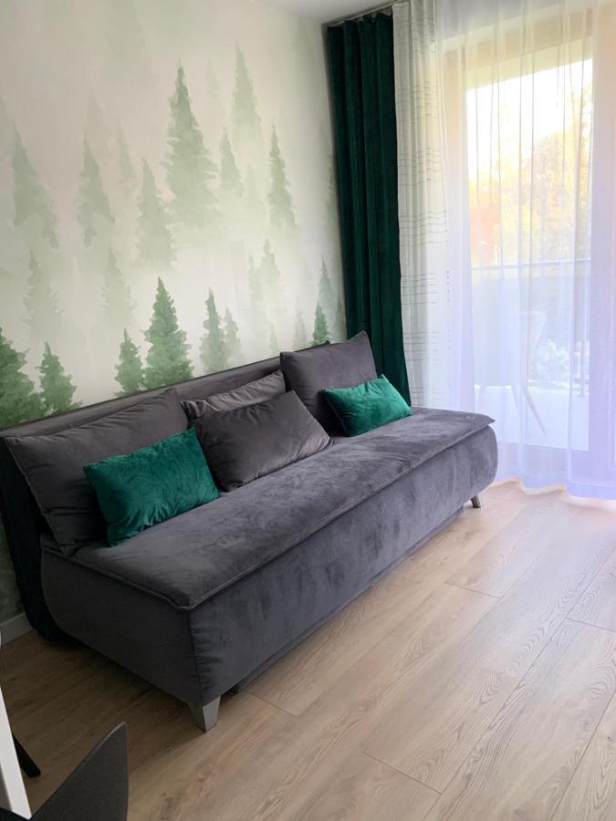Apartament Skalisty Карпач Екстер'єр фото