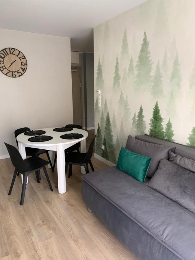 Apartament Skalisty Карпач Екстер'єр фото