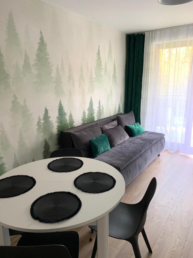 Apartament Skalisty Карпач Екстер'єр фото